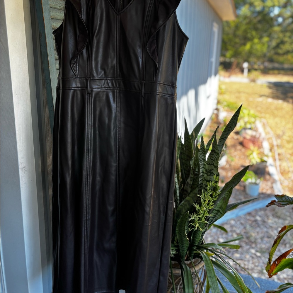Wonderly Black Midi Dress with Ruffle Sleeves